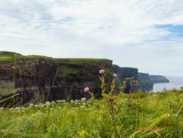 County Clare, Ireland - Cliffs of Moher (Part 1) - August 2025