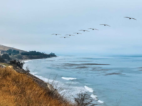 Pismo Beach - June 2022 - Part 1