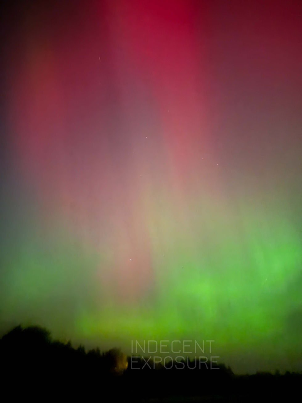 The sky is illuminated with vibrant green and red Northern Lights over a silhouetted treeline, creating a serene and mesmerizing mood.