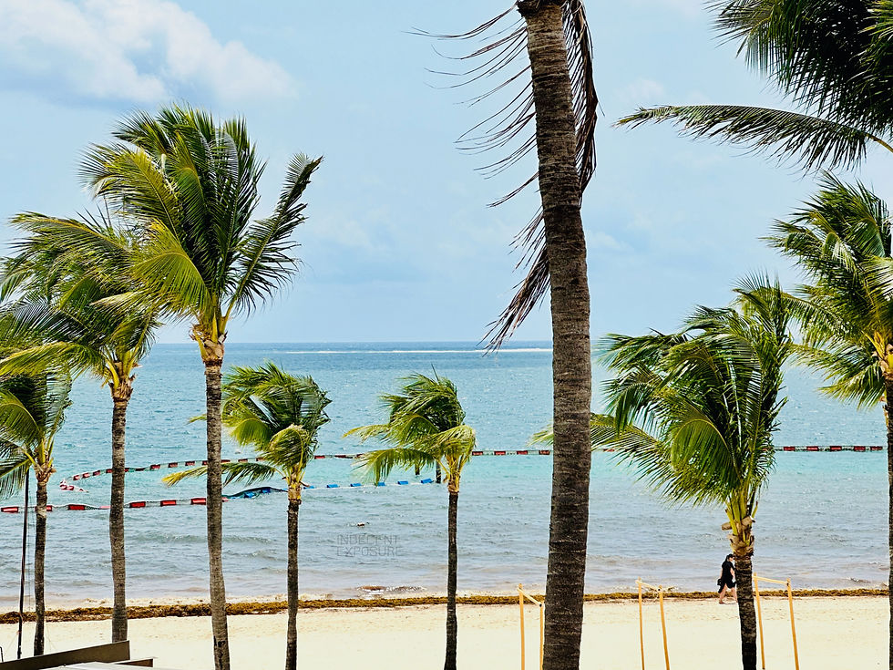 Sargassum in Cancun.
