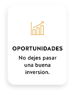 Crédito con garantía para oportunidades de negocio