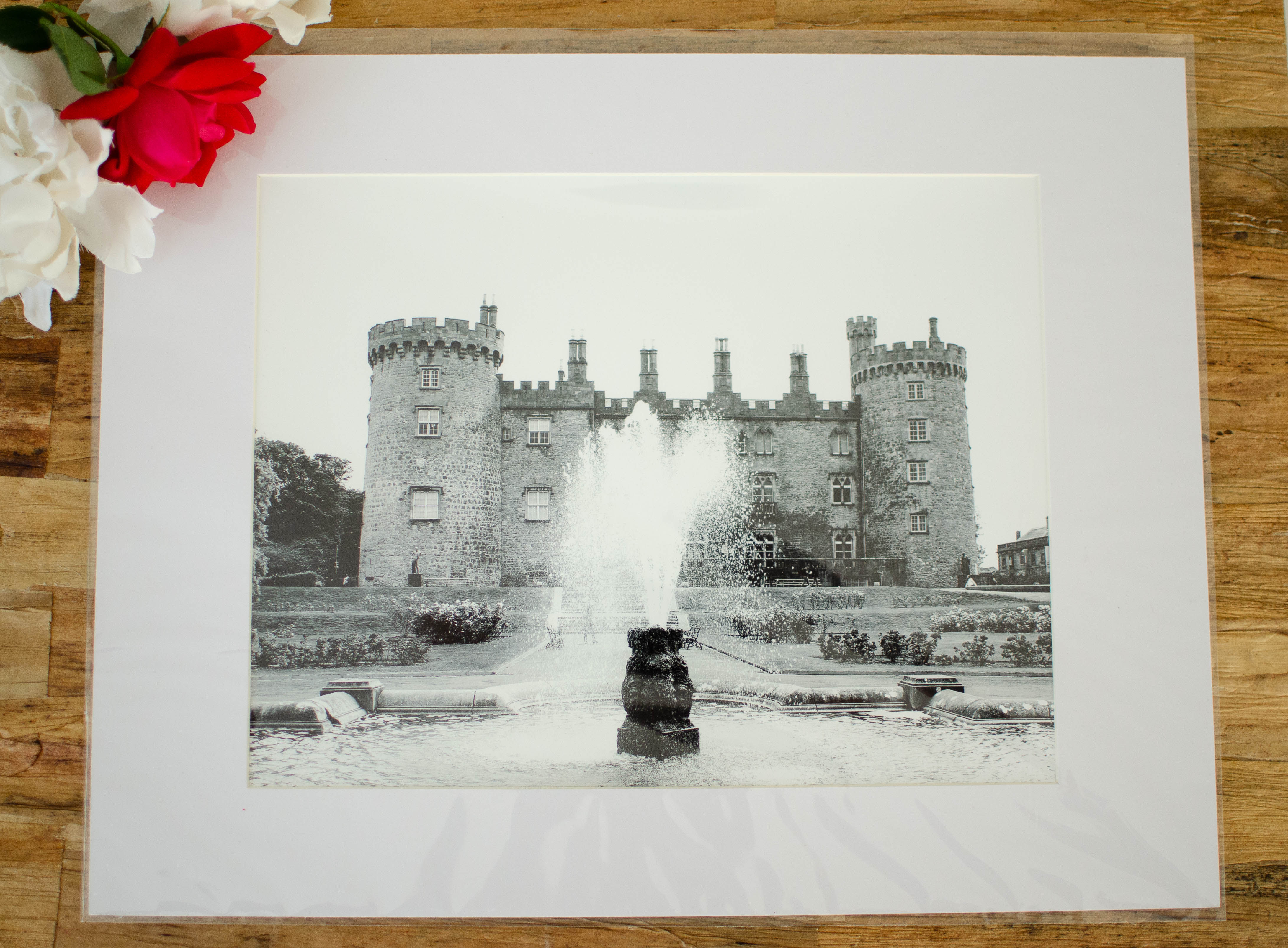 KILKENNY CASTLE - 8x10