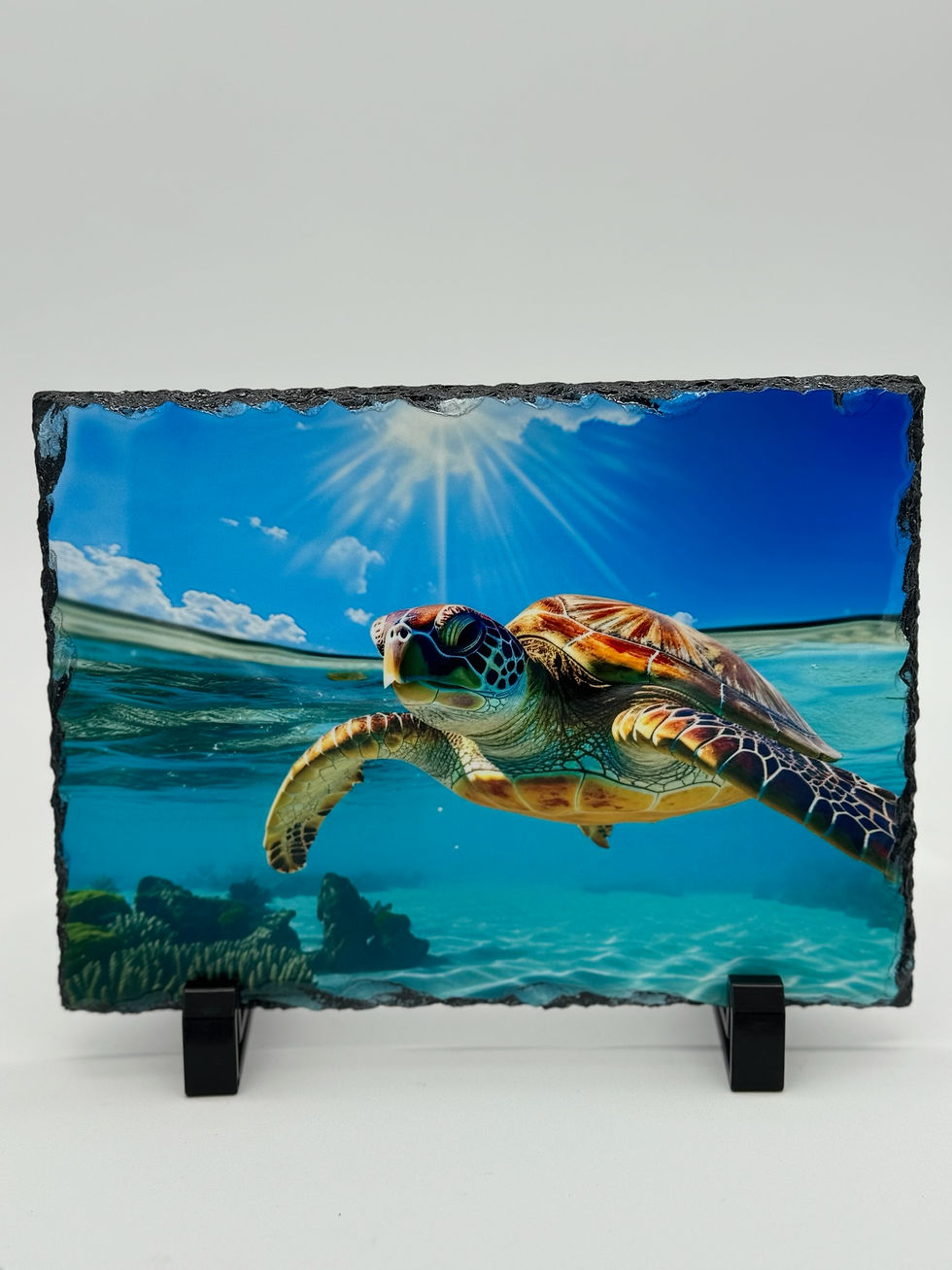 Ocean Serenity Turtle - Stone Print