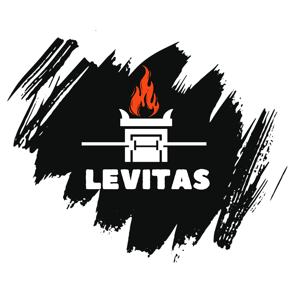 Reunión de Levitas