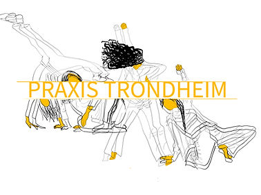 Praxis Logo .jpg