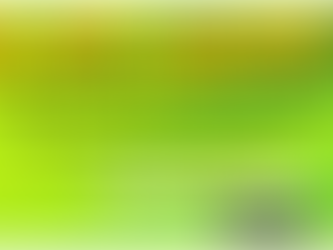 The MOJO Day Trading Daily Newsletter