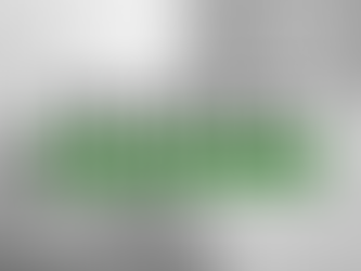 Market Makers & ECNs