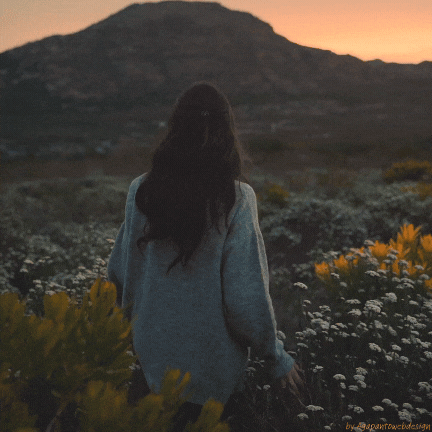 Immagini auguri social gratuite