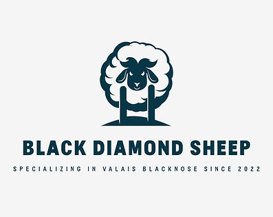 Black Diamond Sheep logo