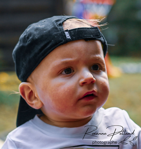 DSC_8498.jpg