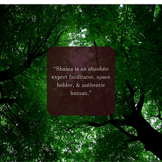 Wild Womxn Medicine Testimonial, On Working with Shaina, Shaman, Healer, Sage, Wise Guide, Nature, Forest, Trees, Healer, Healing, Expert Facilitator, Space Holder, Authentic Human