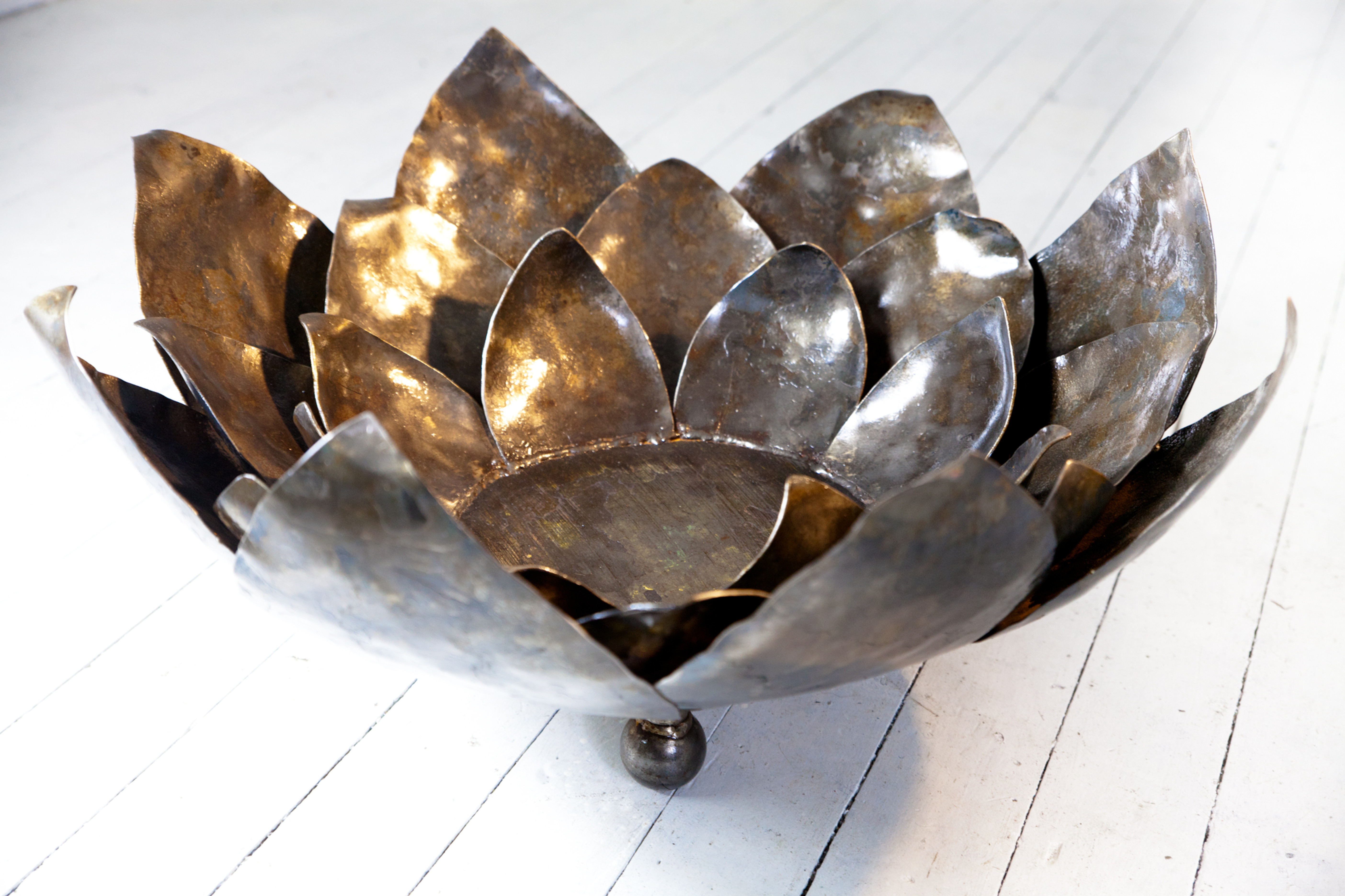 WATER LILLY