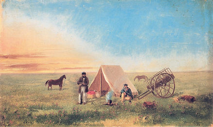 Kane_Prairie (1).jpg