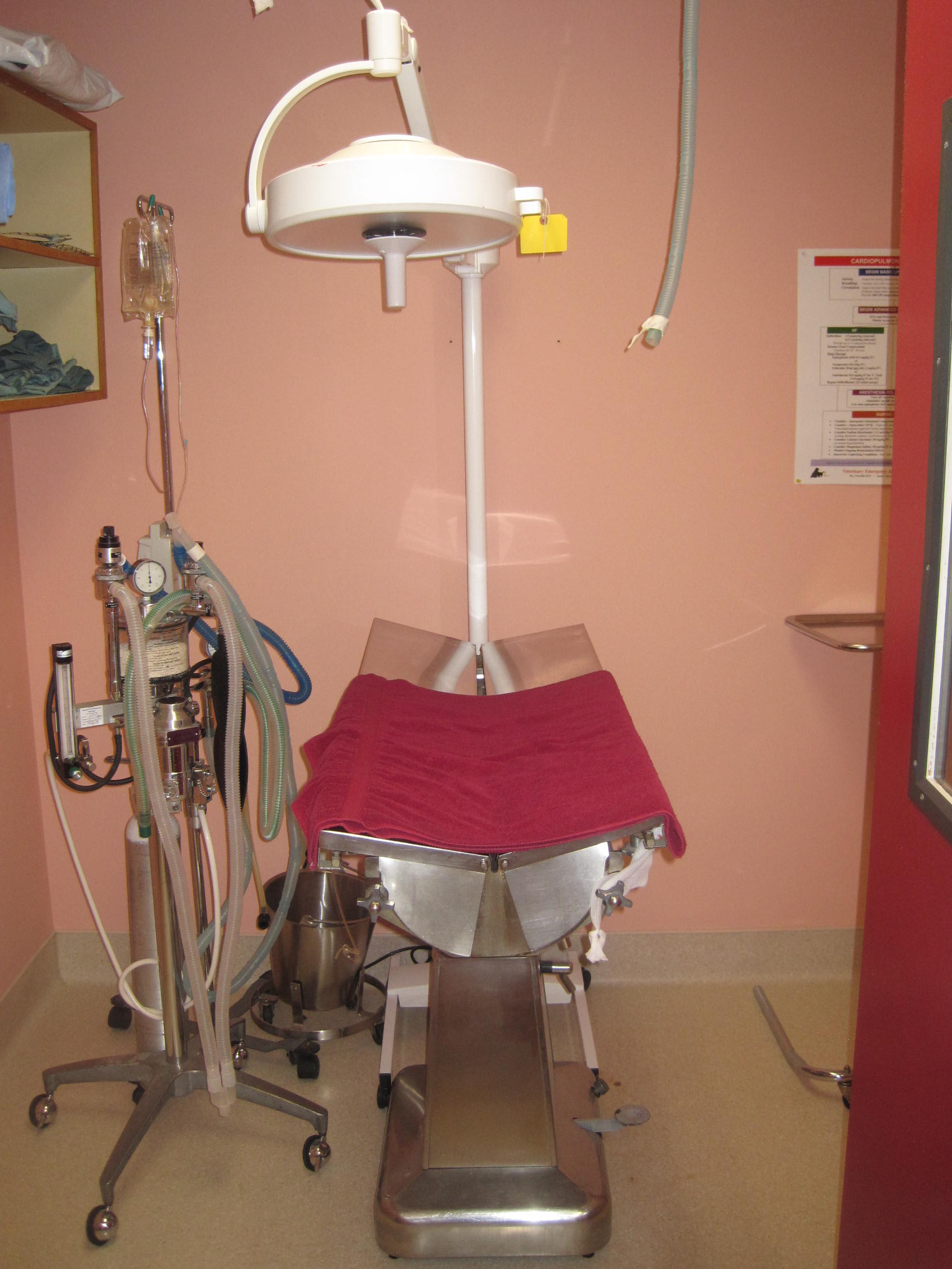 Home Champlain Animal Clinic