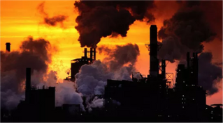 Impacto, poluição e contaminação ambiental: você sabe a diferença?