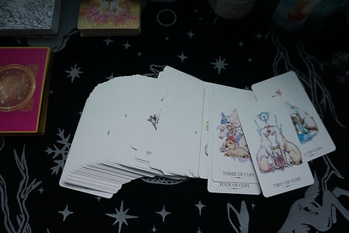 DSC04307.JPG