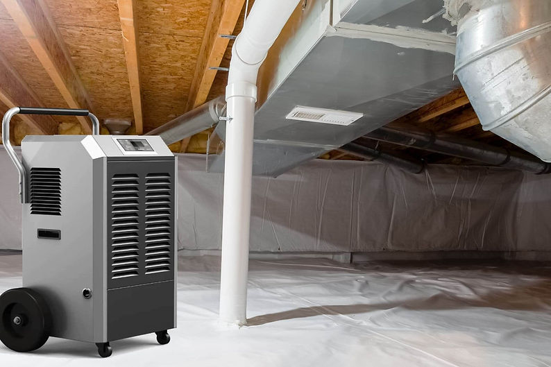 Dehumidification Services.jpg