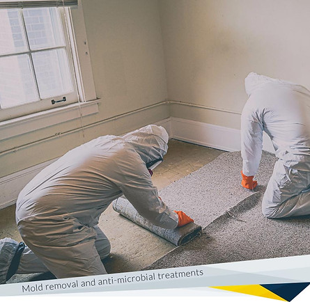 Mold Fogging and Antimicrobial Treatment.jpg