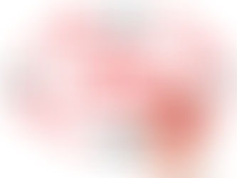 Como sair da operação e assumir o papel de gestor contábil