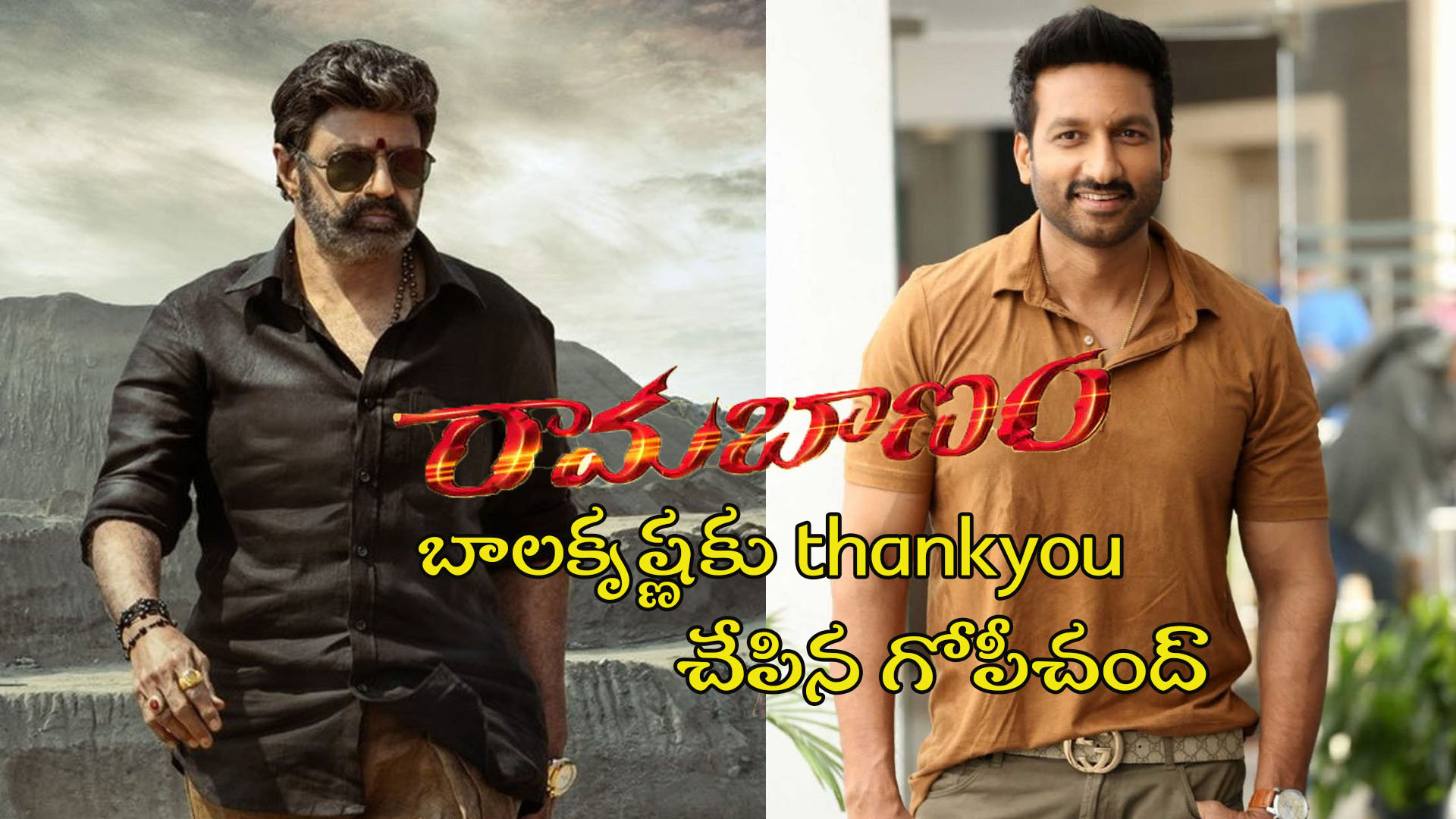 బాలకృష్ణకు thankyou చేపిన గోపీచంద్