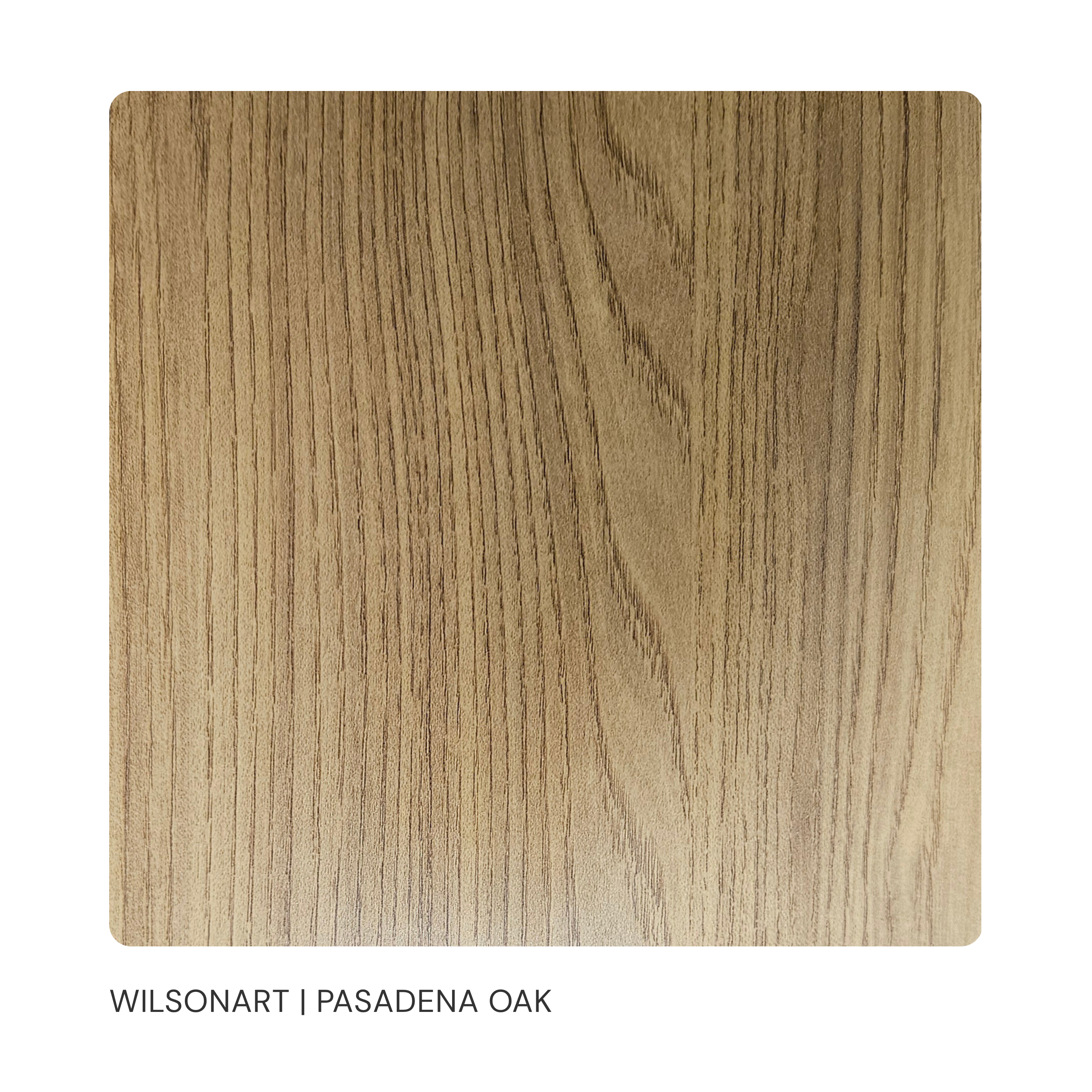 Pasadena Oak