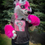 Thumbnail: PinkGeminiHusky Adult Shirt