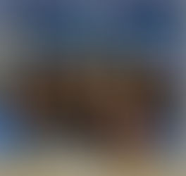 RECENSIONE CAMPIONATO ITALIANO