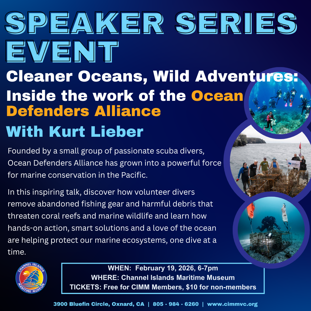 Fish Defender Cleaner Oceans, Wild Adventures: Inside the work of the Ocean Defenders ...