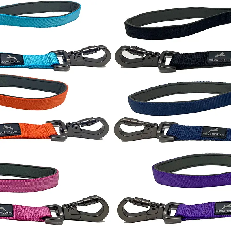 Thumbnail: Carabiner Dog Lead