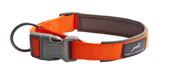 Thumbnail: Padded Clasp Collar