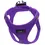 Thumbnail: Step In Harness