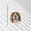 Thumbnail: Springer Spaniel Print