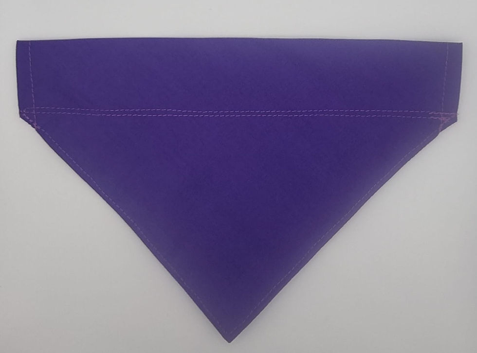 Thumbnail: Plain Bandana