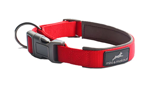 Thumbnail: Padded Clasp Collar