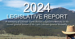 2024 Legislative Report Now Available