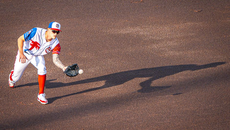 Professional Baseball