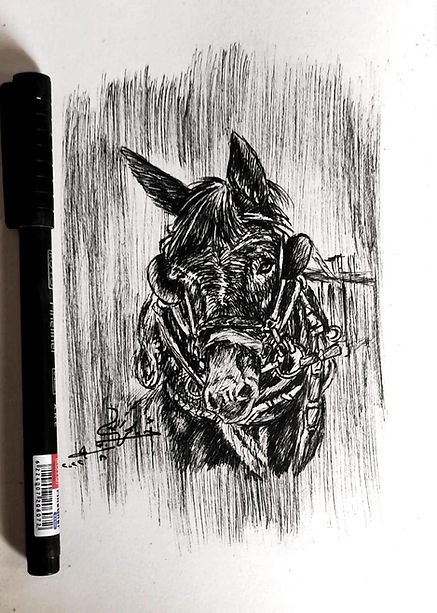 The Resilient Companion