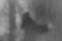 10357800_10153477984328123_194693285477225533_o (2).jpg