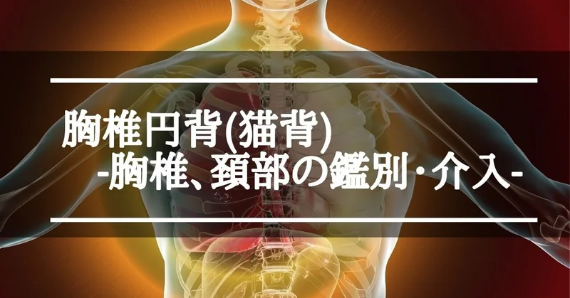 rectangle_large_type_2_207f43104b7ae2973f6c32f10ab35318.webp