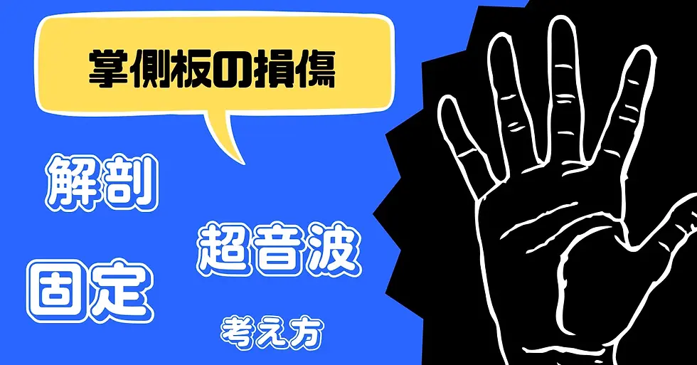掌側板の損傷