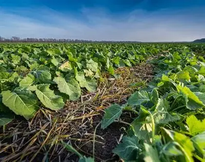 Nutrien Ag Solutions named Australia’s Most Trusted Agribusiness Brand for the first time