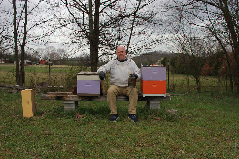 How to Successfully Winter Honey Bees in Tennessee: A Guide from Ratcliff Honey Farm