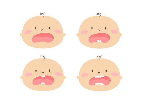 teeth.png
