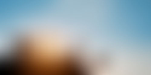 A Letter from the CEO