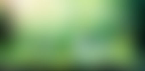 Forms Automation Software: Go Green with a Paperless Office