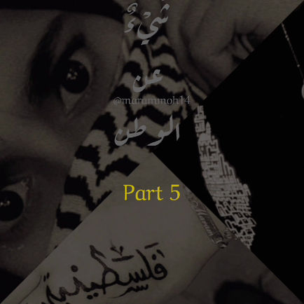 الحلقة الخامسة من برنامج شيء عن الوطن