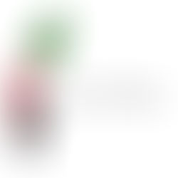 My Mobile Application "Huna Filastin"