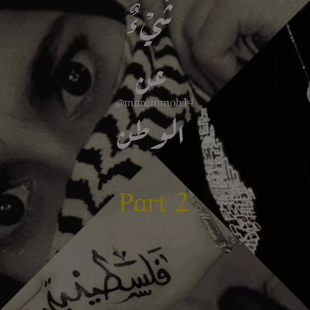 الحلقة الثانية من برنامج شيء عن الوطن