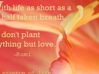 Only Loving Awareness