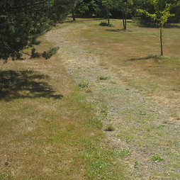 Chemin herbeux - FAQ coaching- Keiro Catherine Luminet tous droits réservés -